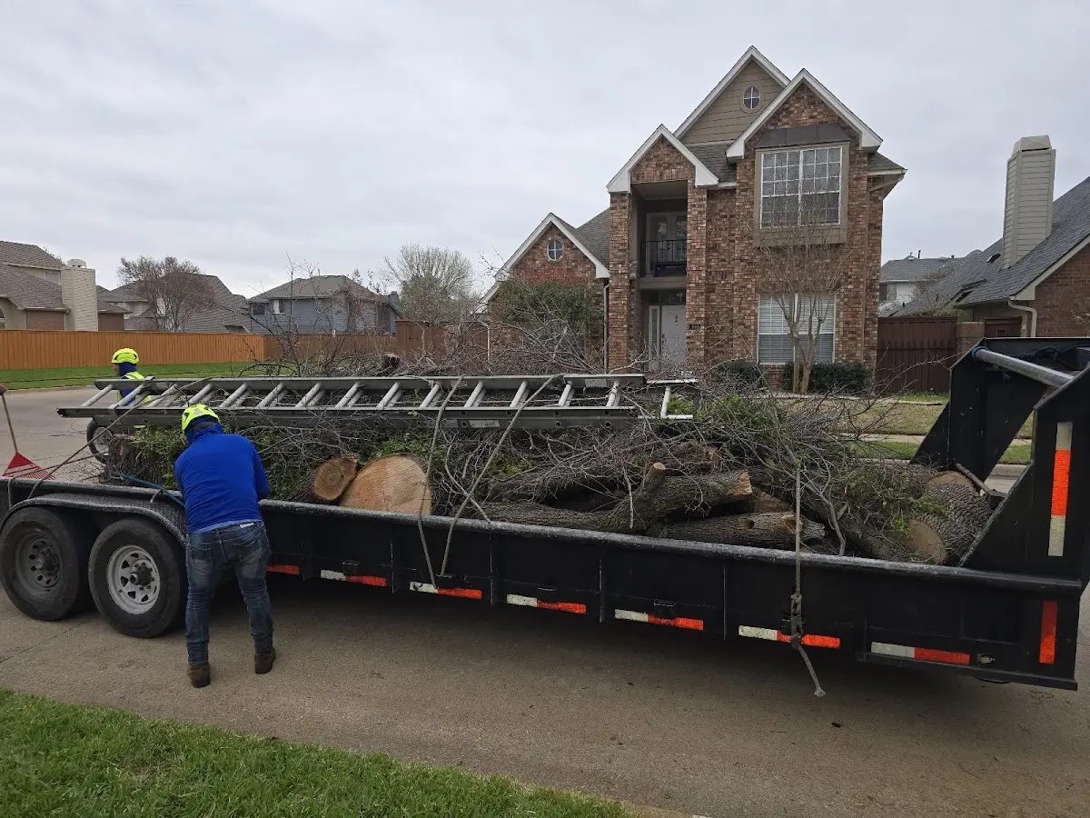Expert Tree Pest Control with proper safety equipment in West Liberty